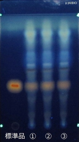 http://mpdb.nibiohn.go.jp/CONTENTS_ROOT/JP_IDENTIFICATION_PHOTO_DATA/JP_IDENTIFICATION_PHOTO_FILE/thumbnail/750.jpg