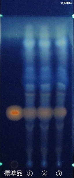 http://mpdb.nibiohn.go.jp/CONTENTS_ROOT/JP_IDENTIFICATION_PHOTO_DATA/JP_IDENTIFICATION_PHOTO_FILE/thumbnail/751.jpg