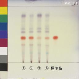 http://mpdb.nibiohn.go.jp/CONTENTS_ROOT/JP_IDENTIFICATION_PHOTO_DATA/JP_IDENTIFICATION_PHOTO_FILE/thumbnail/1135.jpg