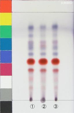 http://mpdb.nibiohn.go.jp/CONTENTS_ROOT/JP_IDENTIFICATION_PHOTO_DATA/JP_IDENTIFICATION_PHOTO_FILE/thumbnail/1139.JPG