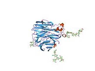 PDB 2bat EBI.jpg