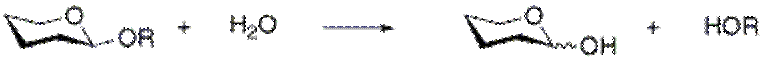 Hydrolase mech.gif