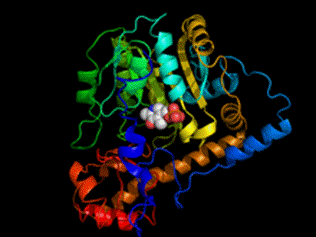 Aspartate transaminase.png
