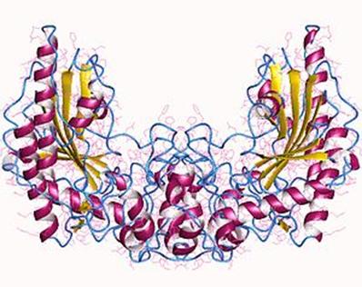 https://upload.wikimedia.org/wikipedia/commons/thumb/8/81/1i0e.jpg/300px-1i0e.jpg