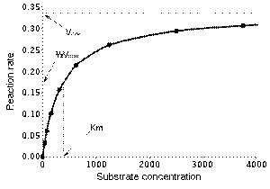 https://upload.wikimedia.org/wikipedia/commons/thumb/9/99/Michaelis-Menten_saturation_curve_of_an_enzyme_reaction.svg/300px-Michaelis-Menten_saturation_curve_of_an_enzyme_reaction.svg.png