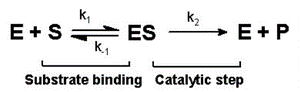 https://upload.wikimedia.org/wikipedia/commons/thumb/b/bd/Mechanism_plus_rates.PNG/300px-Mechanism_plus_rates.PNG