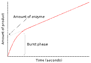https://upload.wikimedia.org/wikipedia/commons/thumb/a/ab/Burst_phase.svg/300px-Burst_phase.svg.png