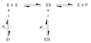https://upload.wikimedia.org/wikipedia/commons/thumb/f/f3/Reversible_inhibition.svg/300px-Reversible_inhibition.svg.png