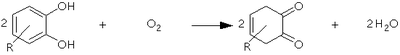 CatecolOxidase react.png