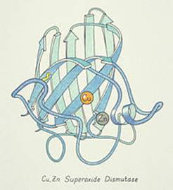 https://upload.wikimedia.org/wikipedia/commons/thumb/2/27/2SOD_ribbon_colorPencil.jpg/200px-2SOD_ribbon_colorPencil.jpg