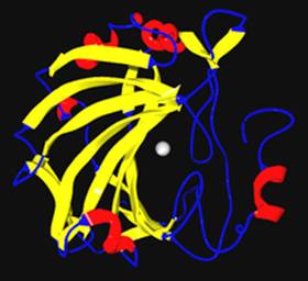 https://upload.wikimedia.org/wikipedia/commons/thumb/4/40/Carbonic_anhydrase.png/220px-Carbonic_anhydrase.png