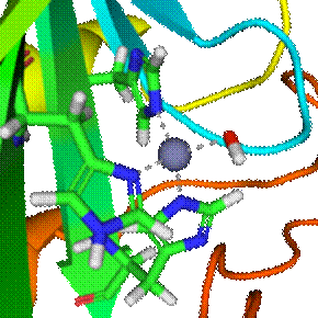 https://upload.wikimedia.org/wikipedia/commons/thumb/7/7f/Carbonic_anhydrase_1CA2_active_site.png/200px-Carbonic_anhydrase_1CA2_active_site.png