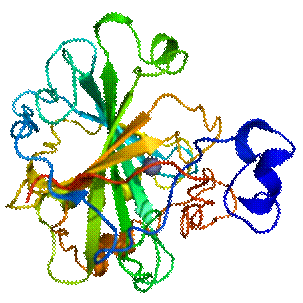 https://upload.wikimedia.org/wikipedia/commons/thumb/1/1c/Carbonic_anhydrase_1CA2.png/200px-Carbonic_anhydrase_1CA2.png