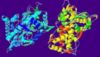 https://upload.wikimedia.org/wikipedia/commons/thumb/5/56/CytP450Oxidase-1OG2.png/200px-CytP450Oxidase-1OG2.png