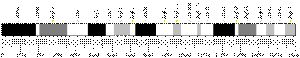 3番染色体 (マウス)