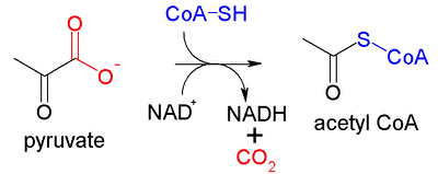 Pyruvate dehydrogenase complex reaction.PNG