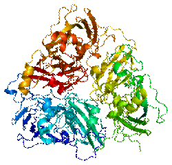 Protein CP PDB 1kcw.png