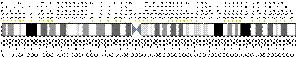 3番染色体 (ヒト)