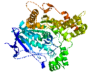 Acethylcholinesterase TC 1EA5.png