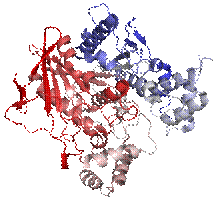 Butyrylcholinesterase 1P0I.png