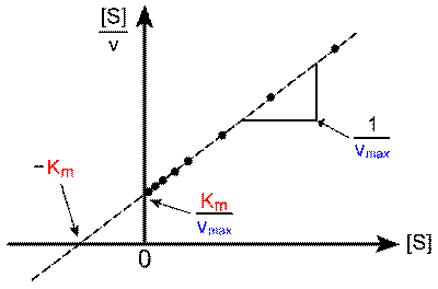 https://upload.wikimedia.org/wikipedia/commons/thumb/9/9e/Hanes-Woolf_plot.svg/400px-Hanes-Woolf_plot.svg.png