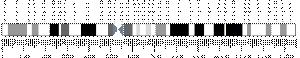 11番染色体 (ヒト)