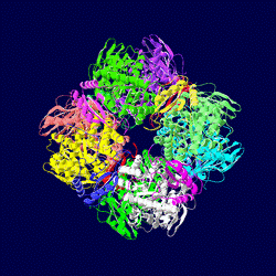 https://upload.wikimedia.org/wikipedia/ja/thumb/6/69/1UPM.png/250px-1UPM.png