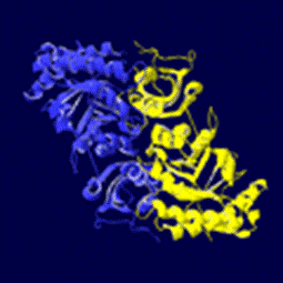 https://upload.wikimedia.org/wikipedia/ja/thumb/1/1a/1YKW.png/120px-1YKW.png