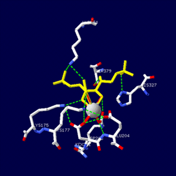 https://upload.wikimedia.org/wikipedia/ja/thumb/8/8c/1UPM_CABP.png/300px-1UPM_CABP.png