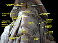 https://upload.wikimedia.org/wikipedia/commons/thumb/d/db/Slide2deded.JPG/120px-Slide2deded.JPG