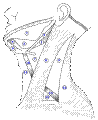 https://upload.wikimedia.org/wikipedia/commons/thumb/0/0f/Gray512.svg/98px-Gray512.svg.png