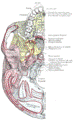 https://upload.wikimedia.org/wikipedia/commons/thumb/9/90/Gray187.png/74px-Gray187.png