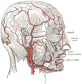 https://upload.wikimedia.org/wikipedia/commons/thumb/7/7b/Gray508.png/117px-Gray508.png