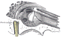 https://upload.wikimedia.org/wikipedia/commons/thumb/9/9d/Gray911.png/120px-Gray911.png