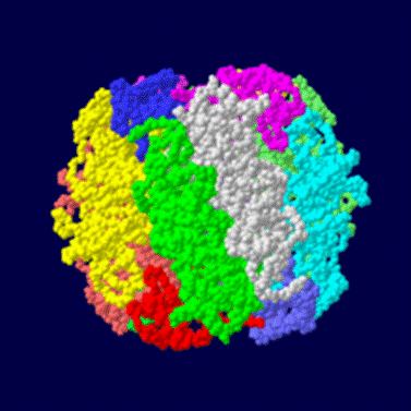 https://upload.wikimedia.org/wikipedia/ja/thumb/f/f7/1UPM_fill.png/220px-1UPM_fill.png