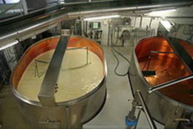 https://upload.wikimedia.org/wikipedia/commons/thumb/8/82/Production_of_cheese_1.jpg/220px-Production_of_cheese_1.jpg