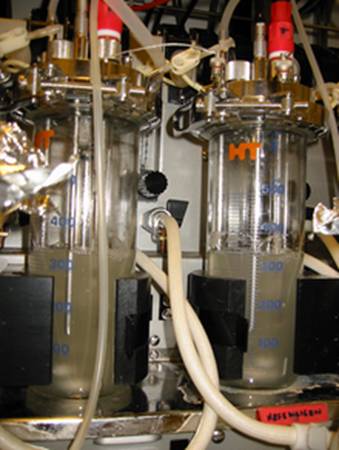 https://upload.wikimedia.org/wikipedia/commons/thumb/3/37/Two_chemostats.png/220px-Two_chemostats.png