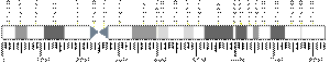 17番染色体 (ヒト)