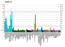 PBB GE PPM1D 204566 at fs.png