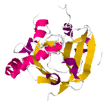 Sortase.png