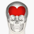 https://upload.wikimedia.org/wikipedia/commons/thumb/5/55/Frontalis_muscle_animation_small.gif/120px-Frontalis_muscle_animation_small.gif
