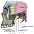 https://upload.wikimedia.org/wikipedia/commons/thumb/a/a7/Gray189.png/119px-Gray189.png
