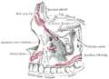 https://upload.wikimedia.org/wikipedia/commons/thumb/7/71/Gray157.png/120px-Gray157.png