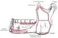 https://upload.wikimedia.org/wikipedia/commons/thumb/6/64/Gray176.png/120px-Gray176.png